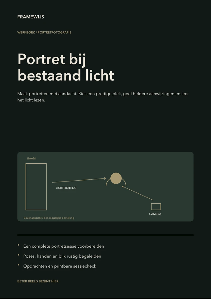 Omslag van Portret bij bestaand licht